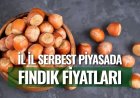 İl İl Serbest Piyasada Fındık Fiyatları Açıklandı
