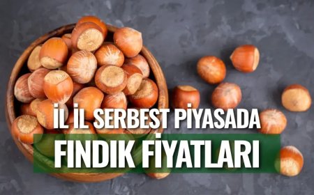 İl İl Serbest Piyasada Fındık Fiyatları Açıklandı