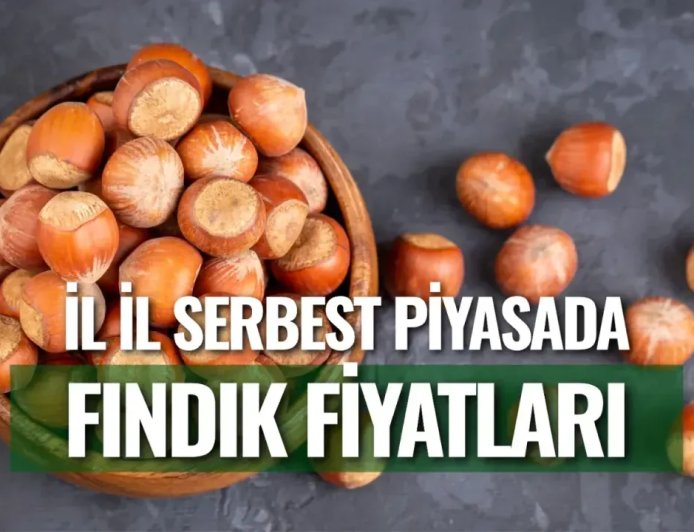 İl İl Serbest Piyasada Fındık Fiyatları Açıklandı